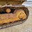 caterpillar-d5-image-4