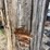 #382-•-lot-of-4-15+-ft-antique-reclaimed-cypress-beams-image-10