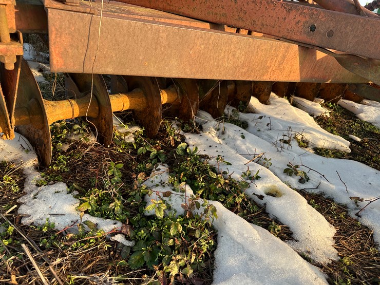 international-20-image-33