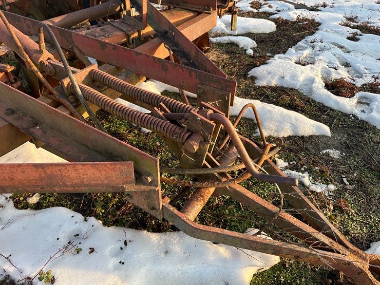 international-20-image-30