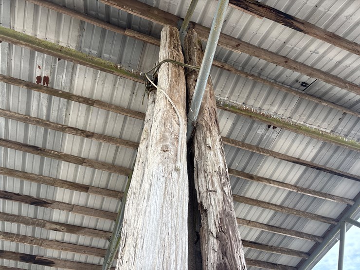 #382-•-lot-of-4-15+-ft-antique-reclaimed-cypress-beams-image-1