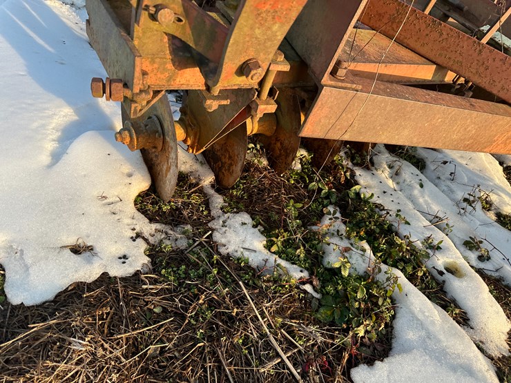 international-20-image-34