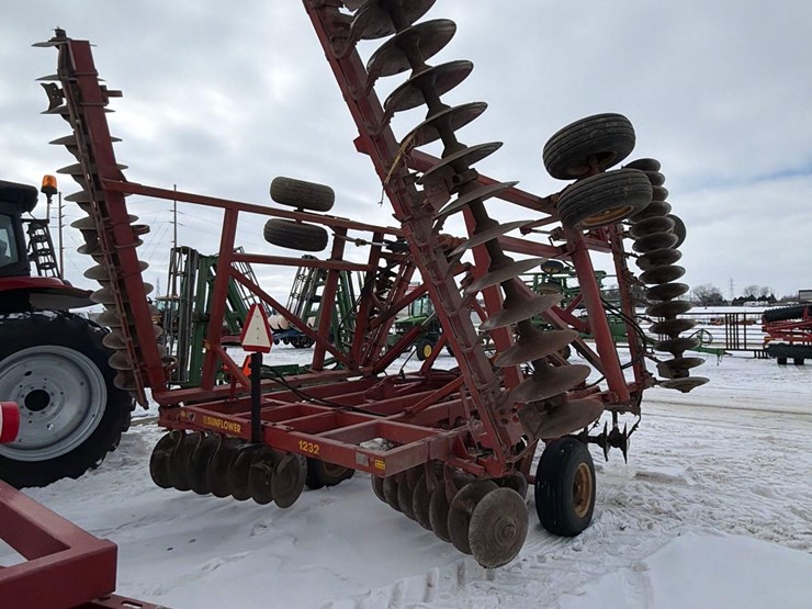 sunflower-1232-image-5