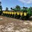 2020-john-deere-1770nt-image-1