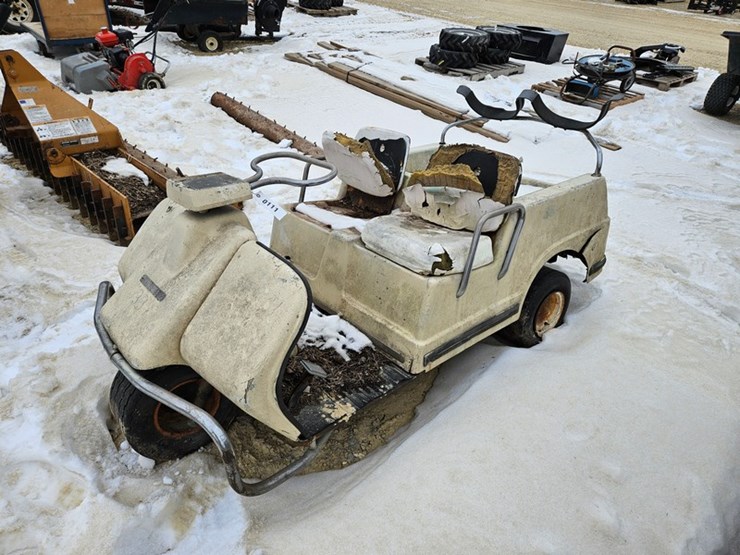 #111-•-tri-wheel-golf-cart-image-1