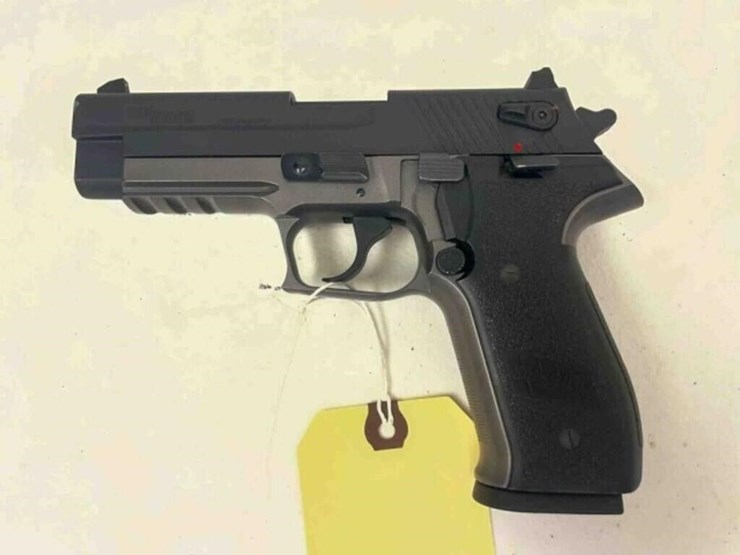 sig-sauer-pistol-image-8