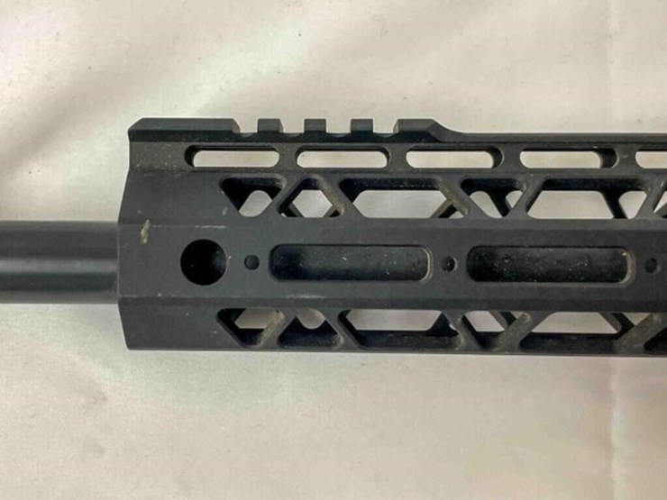 palmentto-state-rifle-image-19