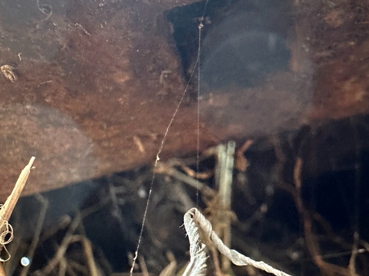 woods-ts1680q-image-16