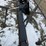 new-unused-giyi-tb47-telescopic-boom-fork-attachment-image-1