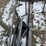 new-unused-giyi-tb47-telescopic-boom-fork-attachment-image-3