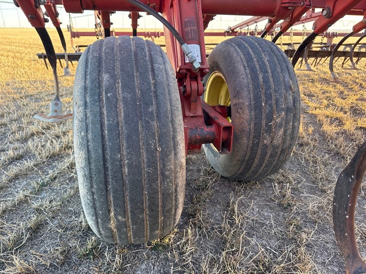 sunflower-6332-26-image-19