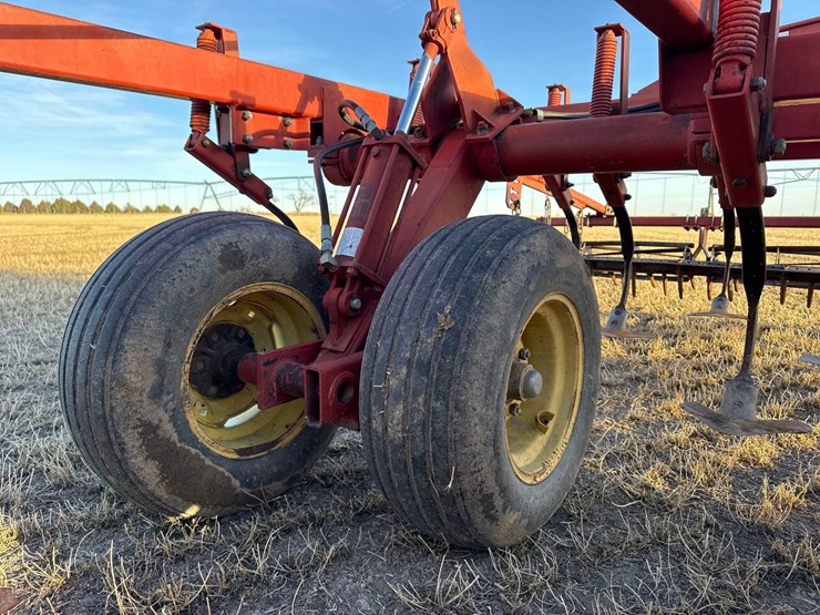 sunflower-6332-26-image-28