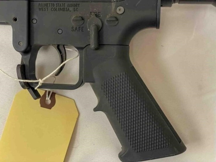 palmentto-state-rifle-image-14