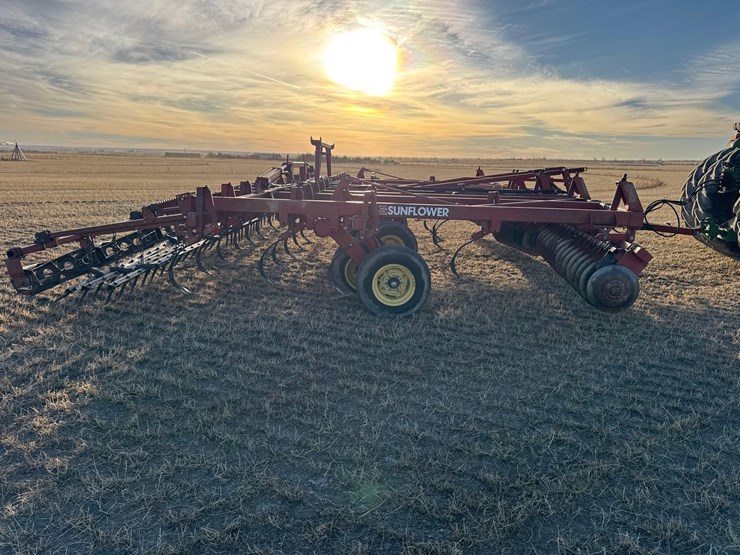 sunflower-6332-26-image-6