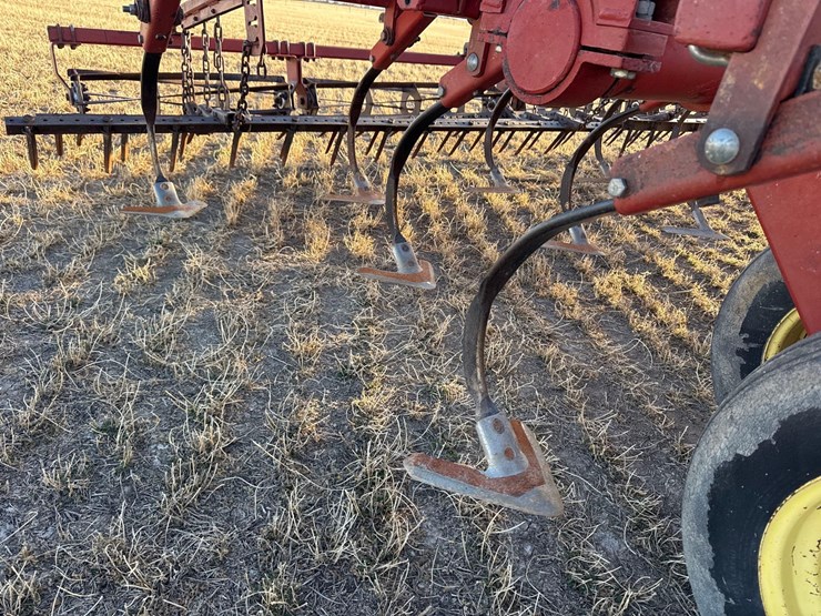 sunflower-6332-26-image-24