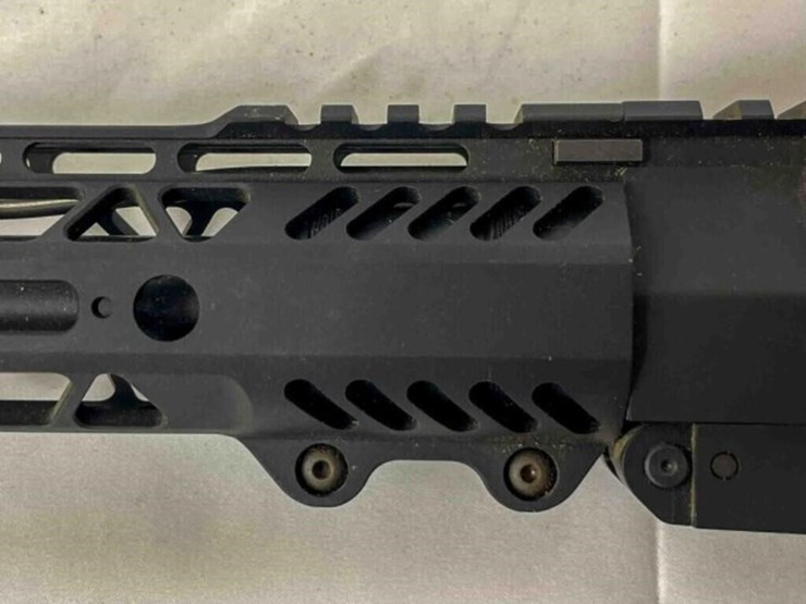 palmentto-state-rifle-image-17