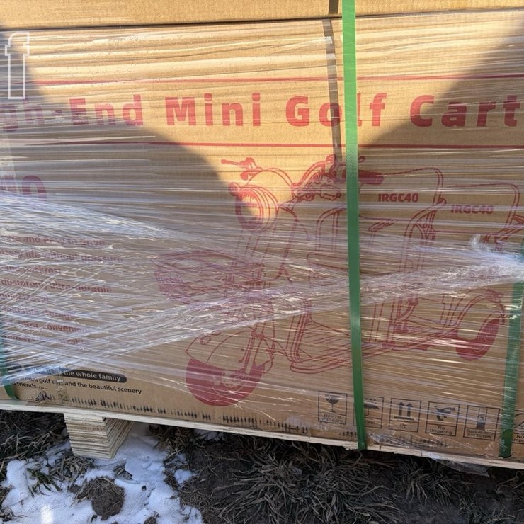 IRGC40 MINI GOLF CART