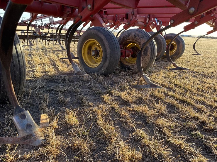 sunflower-6332-26-image-31