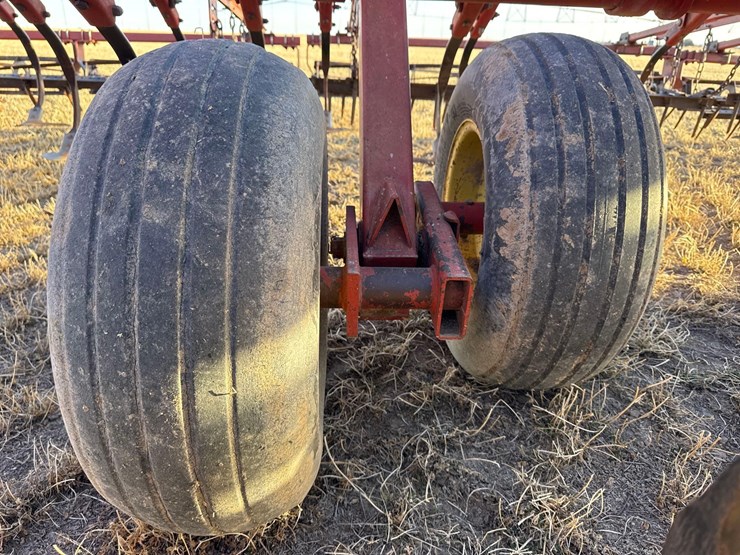 sunflower-6332-26-image-33