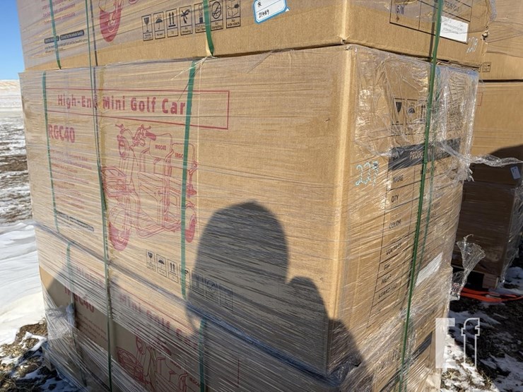 irgc40-mini-golf-cart-image-2