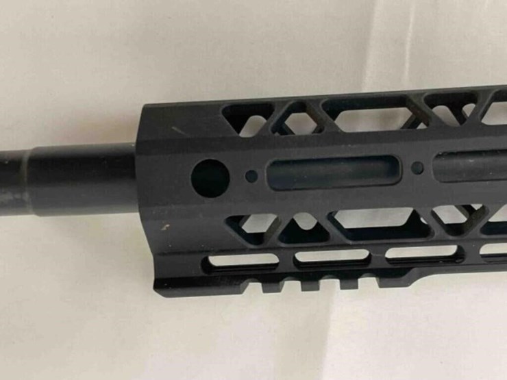 palmentto-state-rifle-image-9