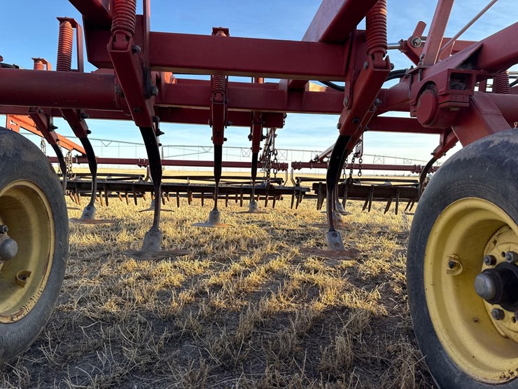 sunflower-6332-26-image-30