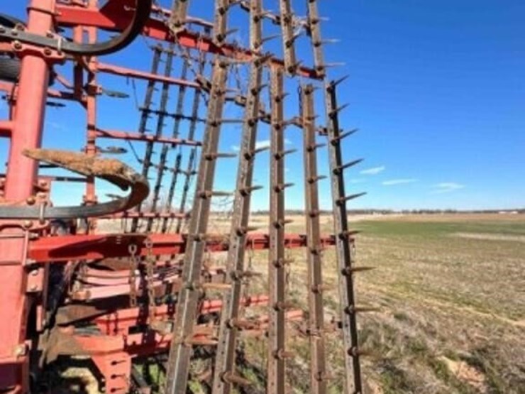 41’-sunflower-2433-chisel-image-30