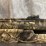 #2614-•-winchester-sxp-longbeard-12-ga.-pump-action-shotgun,-sn:-tr6022-187760sp-image-14