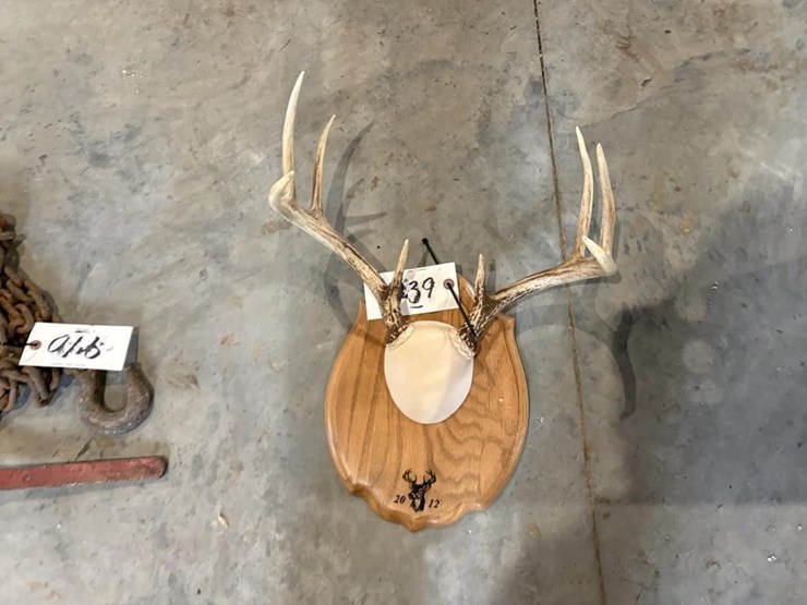 antlers-on-plaque-image-1