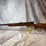 #2761-•-new-haven-46bb-22-lr-bolt-action-rifle,-sn:-nsn-image-2