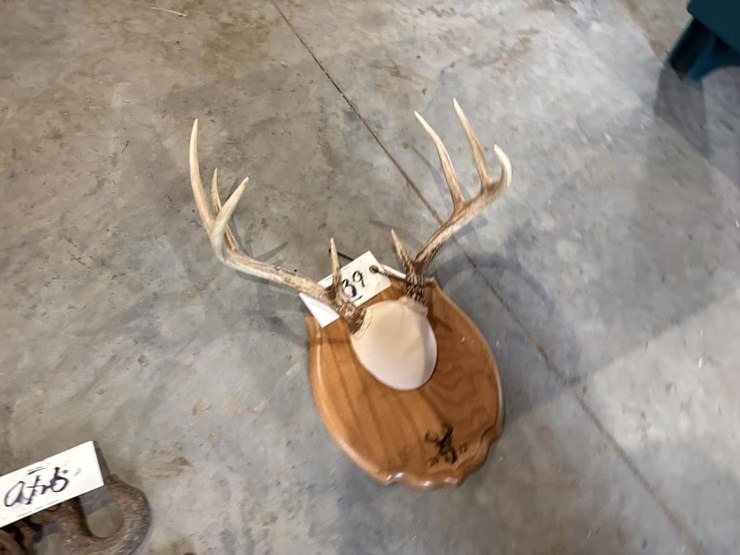 antlers-on-plaque-image-2