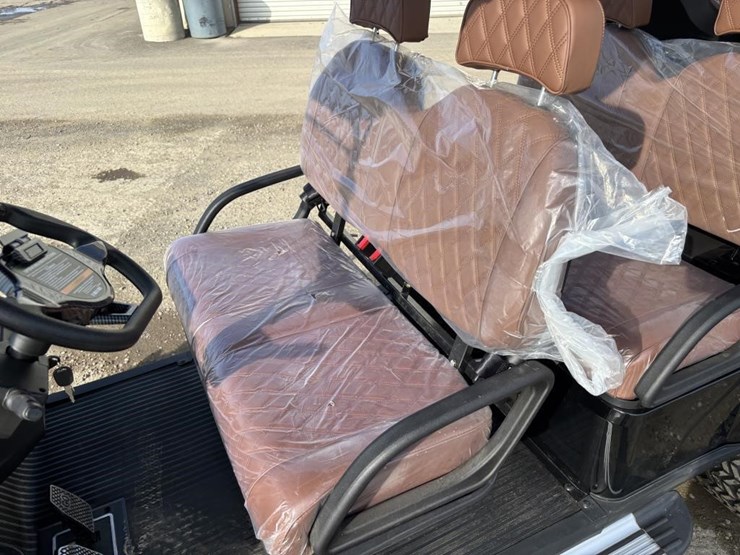 2025-sdlanch-sdlc100-golf-cart-image-15