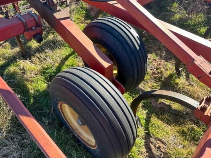 41’-sunflower-2433-chisel-image-17