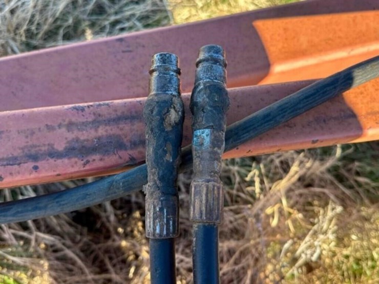 41’-sunflower-2433-chisel-image-5