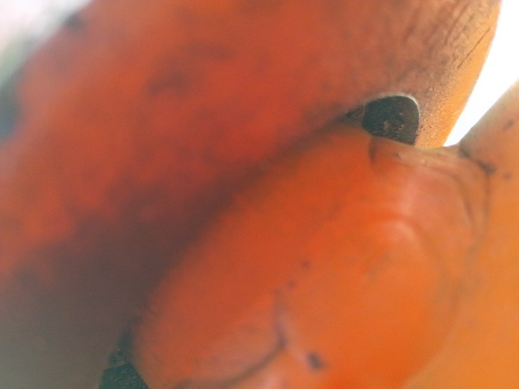 massey-ferguson-246-image-19