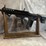 #2381-•-saricam-bullpup-12-ga.-semi-auto-shotgun,-sn:-694-1123yb-437-image-3