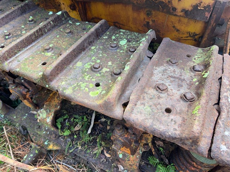 caterpillar-thirty-image-44