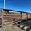 #37731-•-lot-of-(10)-cattle-panels-image-3