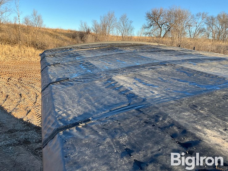 2021-brent-1196-image-15