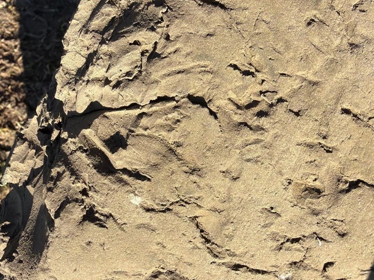 mitsubishi-fg25-image-10