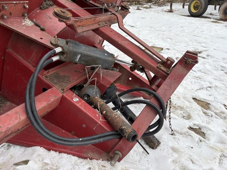 international-80-image-4