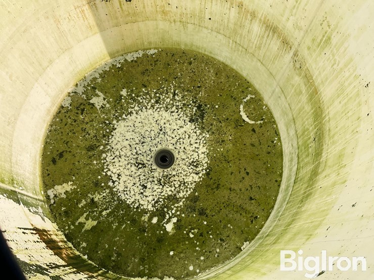 schaben-p316dcbt-image-20