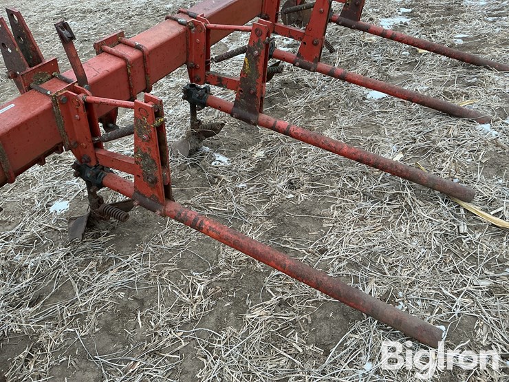 international-3-image-18