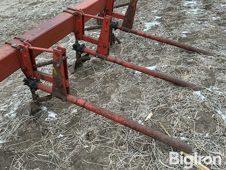 international-3-image-19