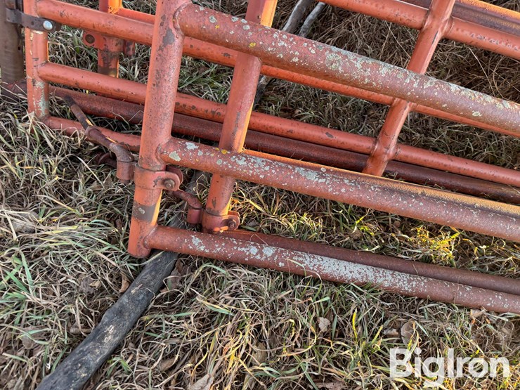 corral-gates-image-20