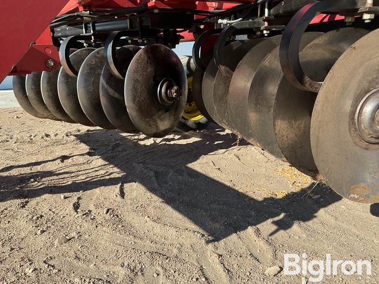 sunflower-1434-26-image-14