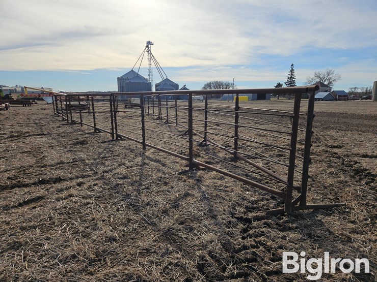 freestanding-livestock-panels-image-7