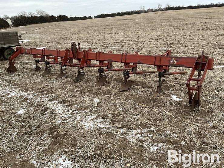 international-3-image-1