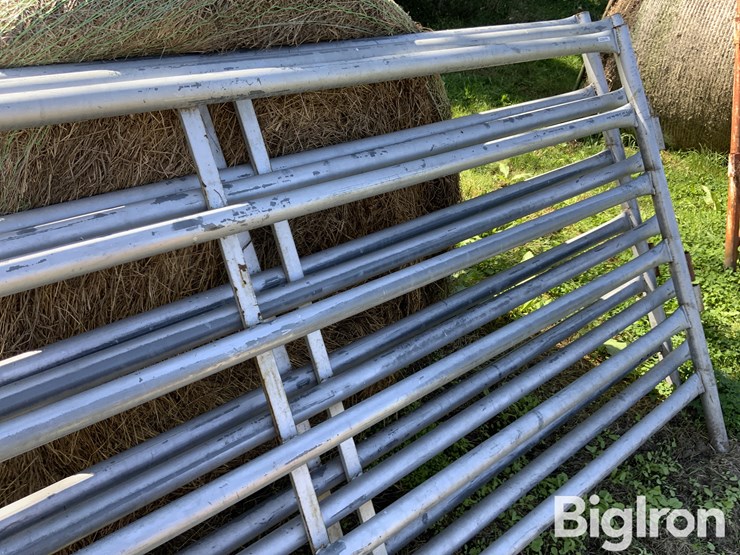10’-6-bar-livestock-panels-image-12