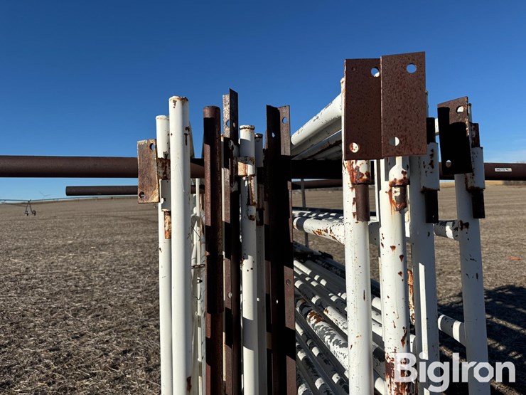 corral-gates-w/storage-rack-image-14